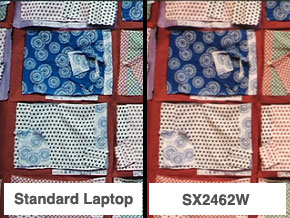 Standard Laptop / SX2462W