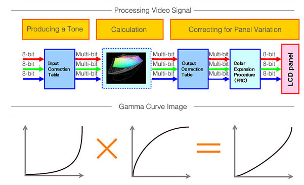 Processing Video Signal / Gamma Curve Image